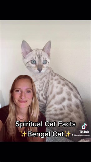 Fascinating Bengal Cat Facts and Spiritual Meanings Revealed