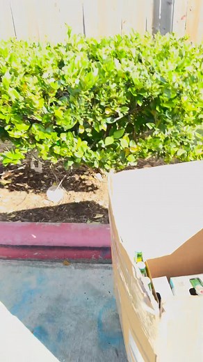 28 reactions · 4 comments | Lord, give me a sign…  | Ernesto Elizondo Jr. | Facebook