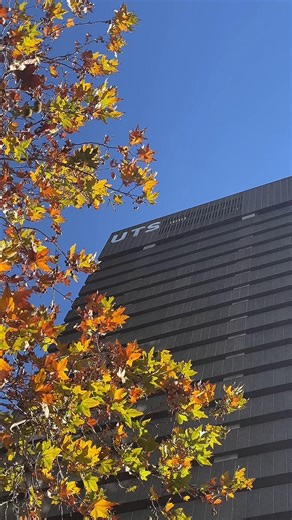 Just out here romanticising our campus in winter 🍂🍁 | UTS: University of Technology Sydney