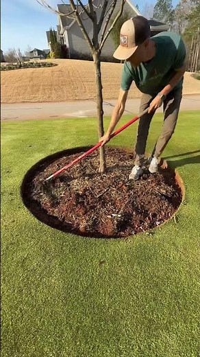 Tree ring natural edge refresh before the season gets underway! Excuse the red clay footprints 👣😀