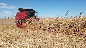 301K views · 350 shares | I had a chance to be at Farm Progress Show...