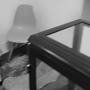 104 reactions · 53 comments | Our newest addition to the cat...