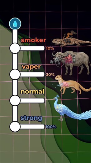 Simple Lung Health Check You Can Do at Home