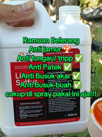 Lime Sulfur: The Organic Fungicide Solution