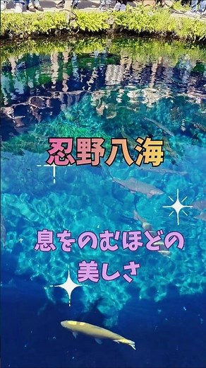 世界遺産 やっぱり富士山 忍野八海 絶景