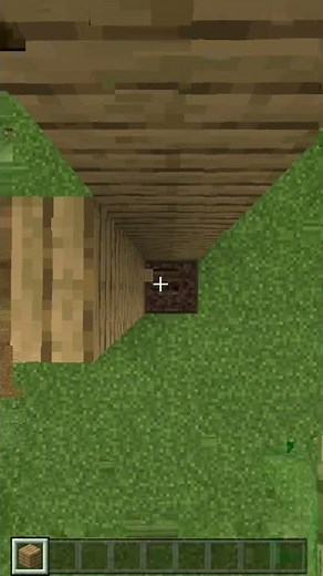 Minecraft Working Zipline Tutorial #Shorts