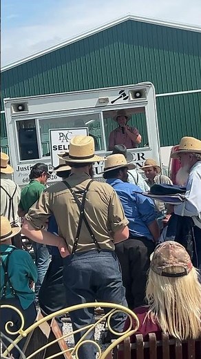 Amish consignment auction, Kentucky