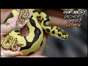 Unlocking the Power of the Desert Ghost Clown!!!