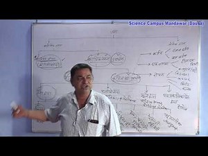 Reproduction in angiosperm plant 2