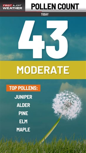 Although today's pollen count in Atlanta is moderate, you may notice a little sniffling, runny nose and itchy eyes. 😫🤧 First Alert tip: Start your pollen meds NOW and keep them going through spring. Your nose (and eyes) will thank you! | Atlanta News First