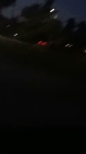 2007 Bluebird Vision Handicap 27199