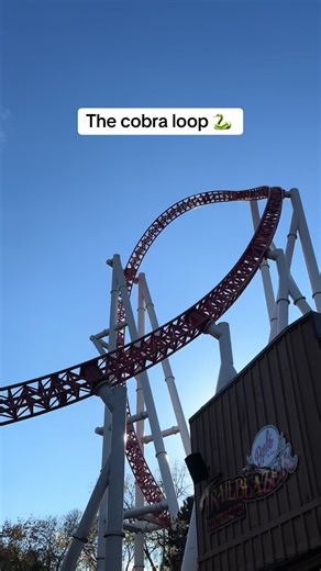 Experience the Thrill of the Cobra Loop at Storm Runner