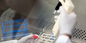 Student Volunteer Request Form »  Emerging Pathogens Institute » University of Florida