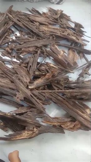 #oud #oudh #agarwood #oudhfromindia #oudhfromassam | Ashraful Hussain