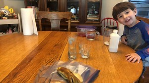 Experiment - Extracting DNA from Fruit - Experiments - Dr. Phosphorus Presents