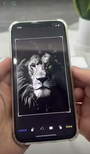 Mini Bluetooth A4 Printer – No Ink Needed! Print on the Go! 🔋🖨️