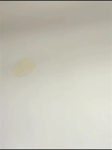 Putting texture to voids on this SANTA FE 80/20 👍🏽 #drywall #texture #fypシ #constructionlife #paratiiiiiiiiiiiiiiiiiiiiiiiiiiiiiii #phoenix #construction