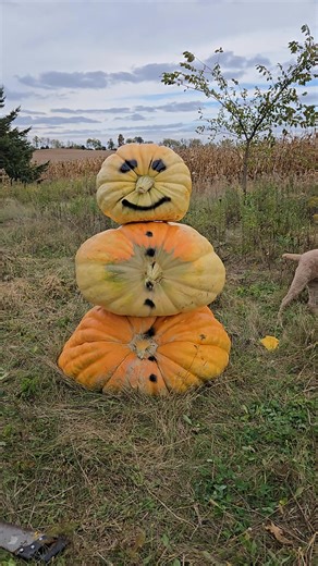 Giant Pumpkin Snowman? www.onlypumpkins.com | Moby Mike Pumpkins
