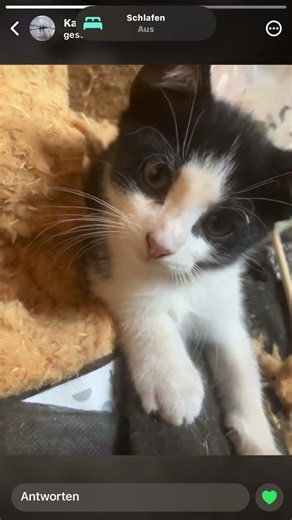 #Wahre Worte (liebe diesen Sound aber ist nicht meiner)