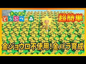 【あつ森】金のバラを金ジョウロを使わずに咲かせる方法【あつまれどうぶつの森】