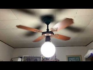 SMC Laguna Ceiling Fan - ToryTheFanMan's House | ECFE