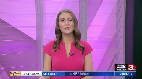 Eagle Scout’s project aids chickens at Wichita Falls shelter