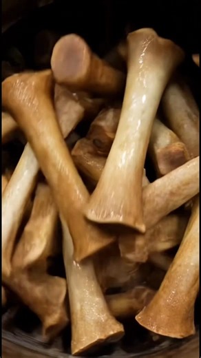 Incredible Buffalo Bones Processing Line 🦴🔥 #Shorts