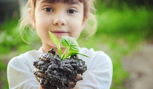 Videos You Should Be Using Throughout Your Plant Unit