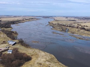 541 reactions · 103 shares | Discover why nearly a million Sandhill Cranes gather in Central Nebraska each spring! It's an enchanting experience & Kearney is the perfect place to see it. Start planning your trip today! https://visitkearney.org/sandhill-cranes/ | Visit Kearney | Facebook