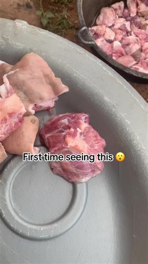 Understanding Muscle Memory in Humans