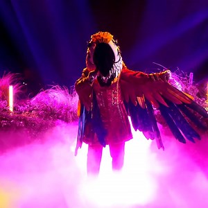 You are part of The Masked Singer flock forever, Macaw Mask! What did you think of that performance? | The Masked Singer