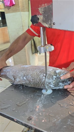 Amazing Rohu Fish Cutting Machine: Modern Technology!#fish #processing #shortvideo #fishcut