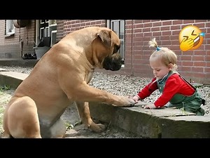 The mesmerizing playtime moments of a baby and their dog playing together 🐕‍🦺💞