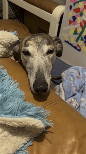 Does this ‘cheek puffs’ mean anything? Either way she’s just being cute and clingy.