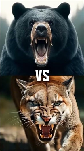 Who is the Real King of the Wild? 🦁 Animal Battles 2026