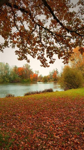 Wind, rain and autumn colors. | RihlaSaw