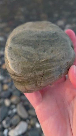 La roche et ses strates #mineraux #plage #roche #nature #science