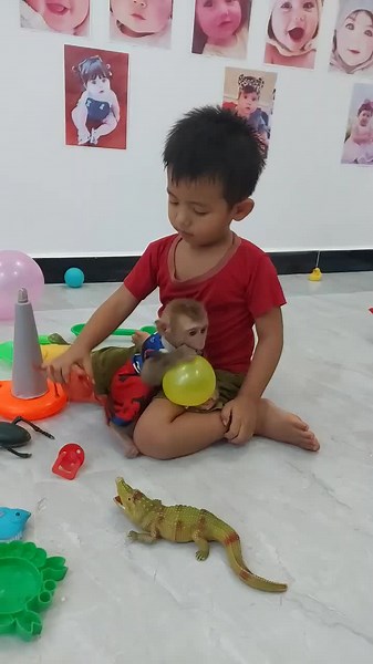 Monkeys Playing: Adorable Baby Monkey Moments