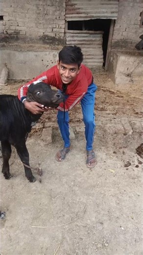 Which dey challenge @baderalsafar