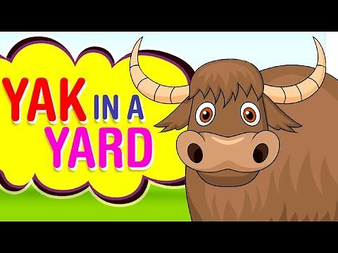 Yak in a Yard Phonic Rhymes | Preschool Activities Videos | Rhymes in English | Educational videos