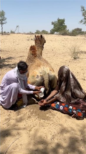 ماذا يوجد داخل الأنبوب البلاستيكي الأبيض؟ فقاعة سوداء حيّرت الجميع!
