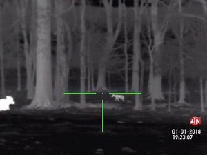 The power of thermal helps detect your prey with ease. Take your shot with confidence with our Smart Shooting Solution and Record everything with the press of a button to share with your friends and family. Get the Gear: http://www.hdsmartoptics.com/ and Join the #ATNNation! #ThORHD #OwnTheNight and #BeThePredator #coyotehunting #predatorcontrol | ATN