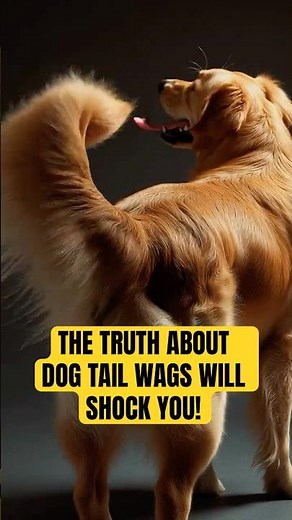 Scientists Don't Want You To Know About The Tail Code #shorts