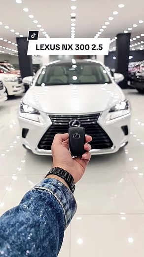 Lexus NX 300 Hybrid 2017: Luxury Meets Affordability