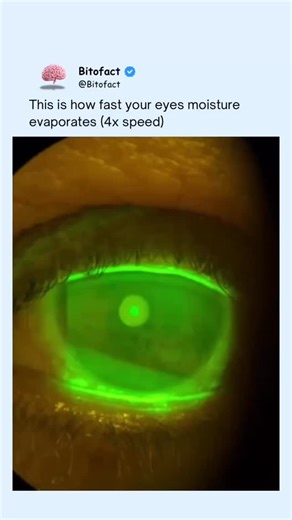 Bitofact | Educational Facts and Videos on Instagram: "Our eyes rely on blinking to stay hydrated. Each blink spreads a thin tear film across the surface of the eye, keeping it moist, clear, and protected from dust and bacteria. When we don’t blink often enough—like when staring at screens—the tear layer evaporates quickly. This causes dryness, irritation, and blurred vision, which is why conscious blinking and regular breaks are essential for eye health. This video is for educational purposes o
