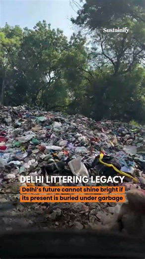 Delhi’s Institutions, Buried in Waste #environmentalissues #news