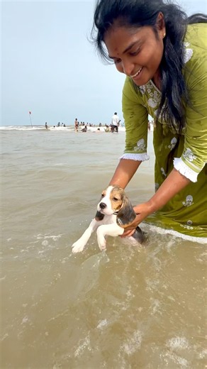 Beach vs dog 🐶
