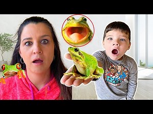 FROGS Took Over Our HOUSE! Strange Invasion at the KREW’s Home!