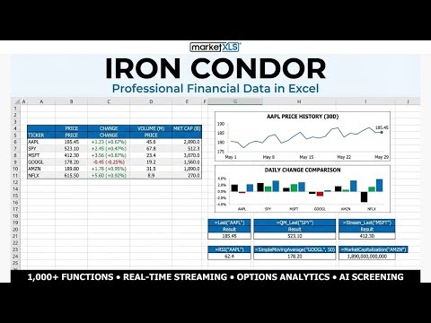 Iron Condor — Strategy, Setup & Live P&L Tracking in Excel