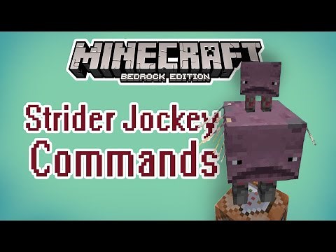Strider Summon Commands! Strider Jockeys & Variants | Minecraft Bedrock